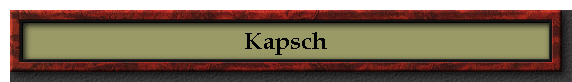 Kapsch